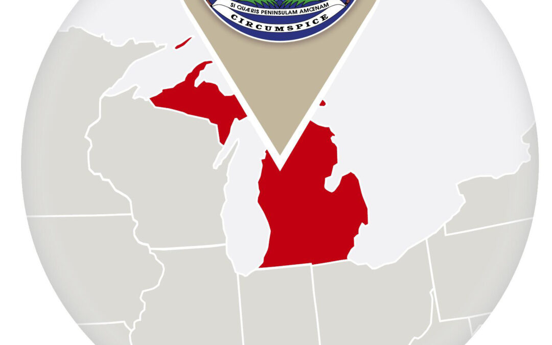 Michigan Redaction of Identifiers