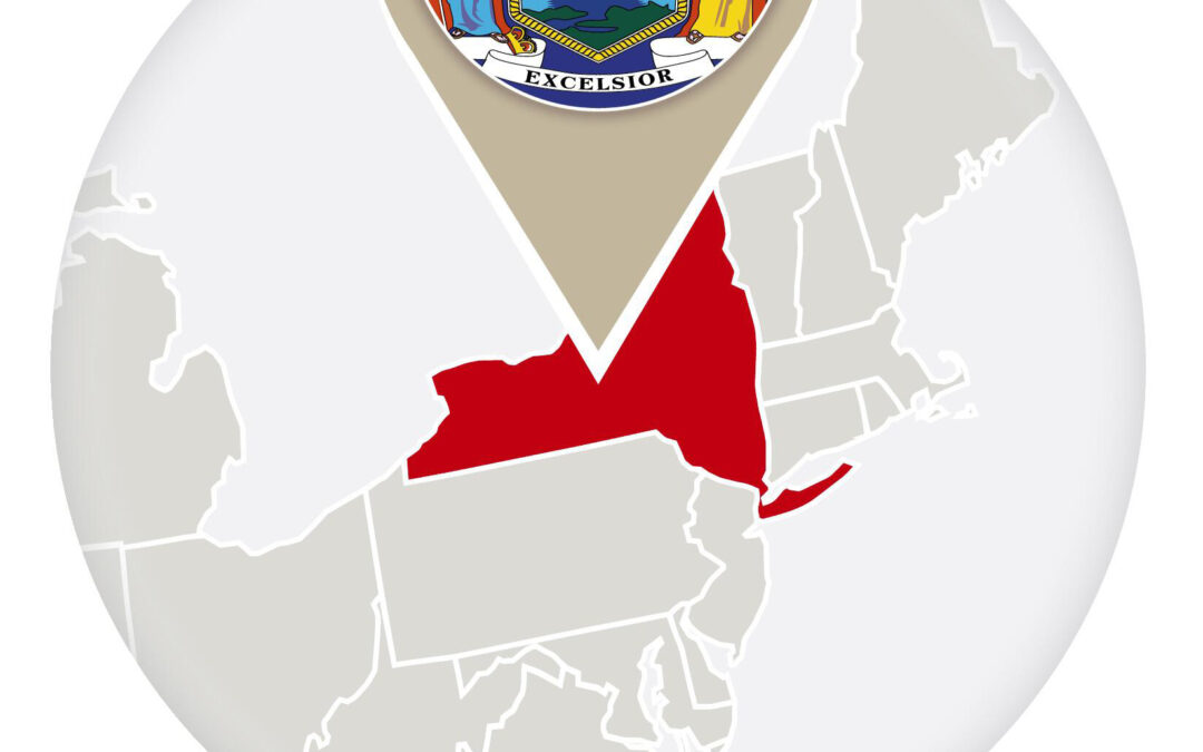 NY Hearing on Credit Reporting