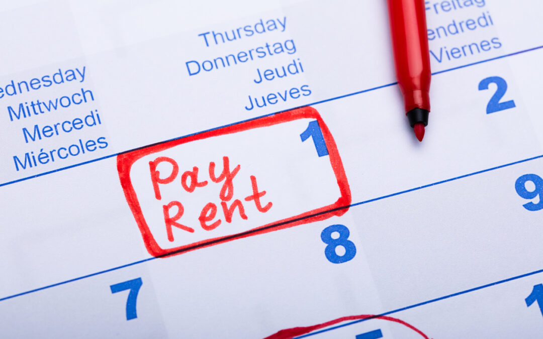 Rent Reporting Success Stories