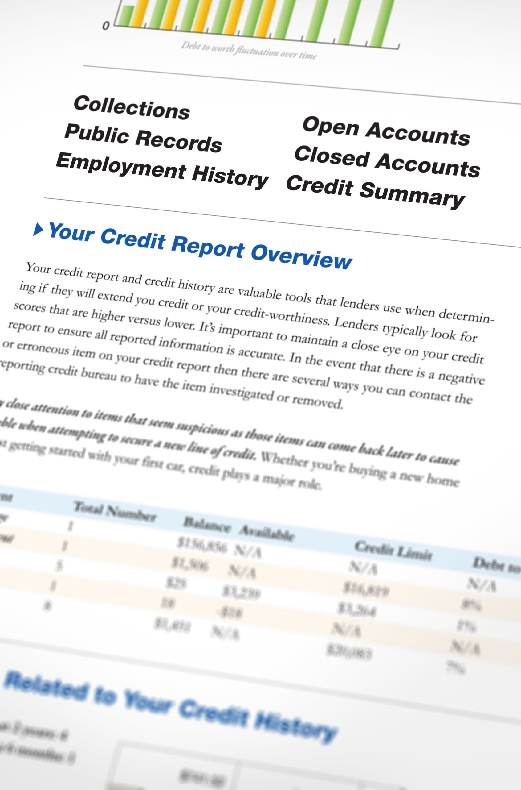 Credit Report